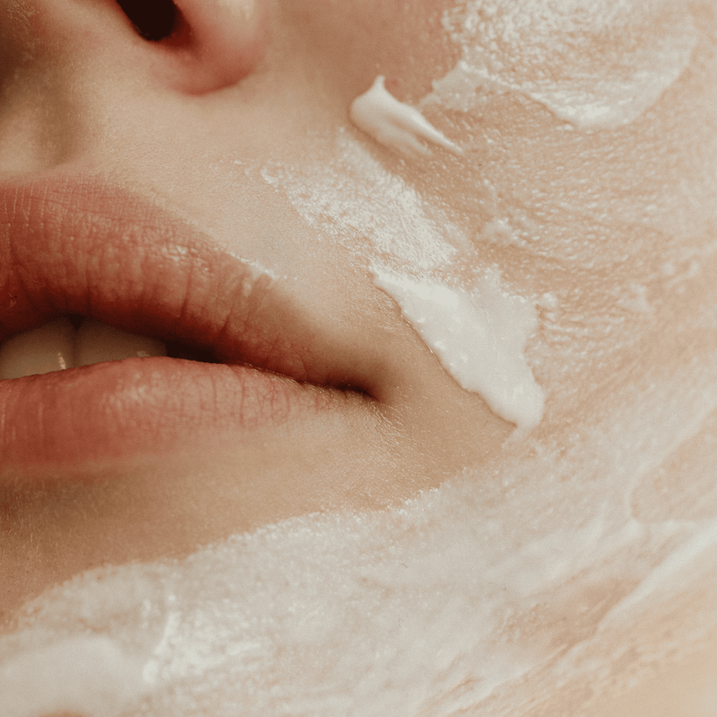 Daycream - Hyaluron + Rowanberry Extract 50 ml